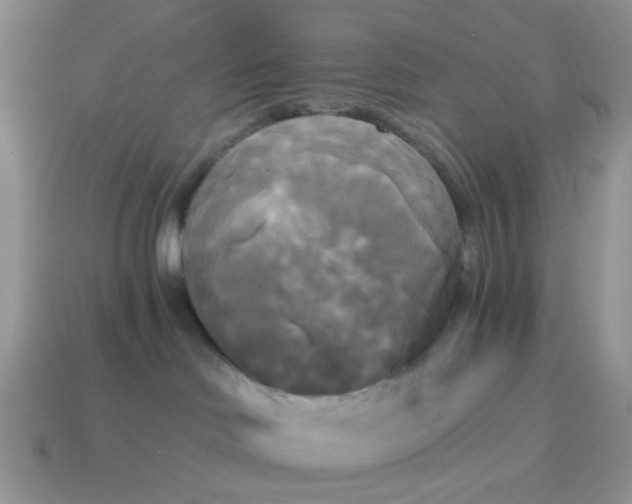 X0000114590046200911091305