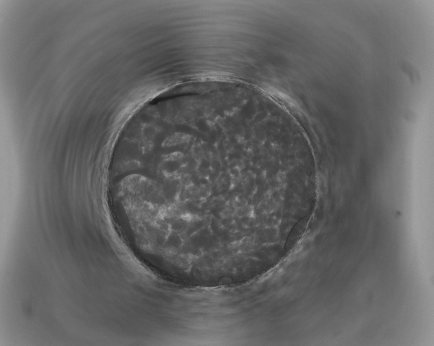 X0000114590049200911091305