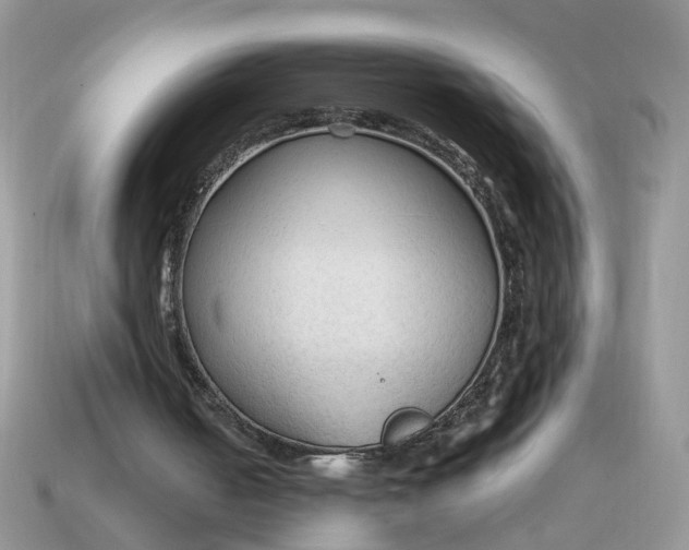 X0000114590050200911091305