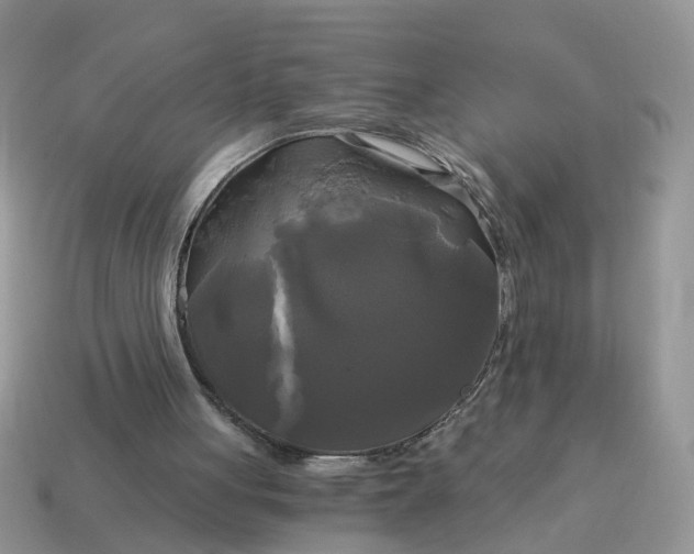 X0000114590051200911091305