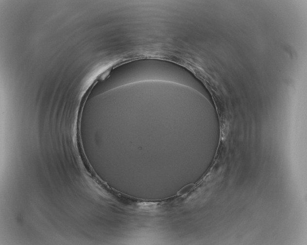 X0000114590052200911091305