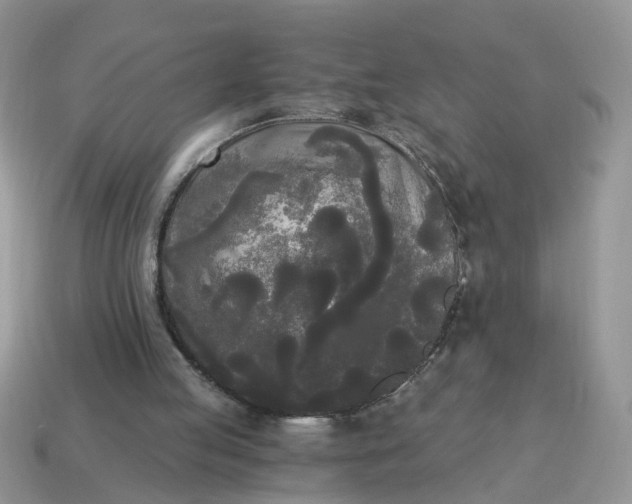 X0000114590053200911091305