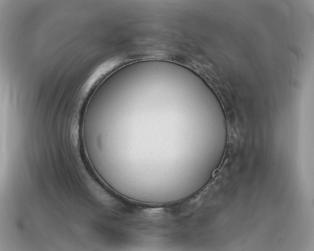 X0000114590054200911091305