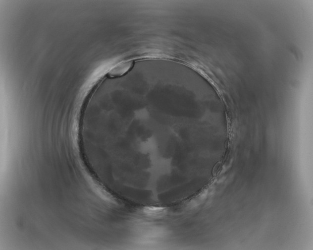 X0000114590055200911091305