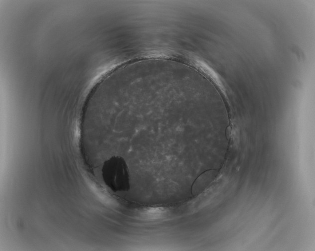 X0000114590059200911091305