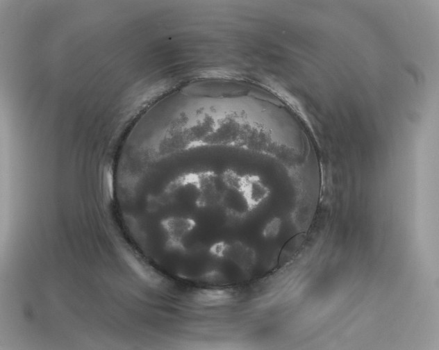 X0000114590061200911091305