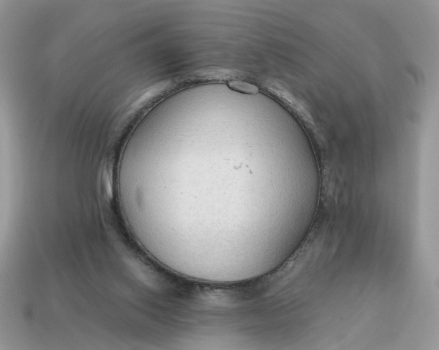 X0000114590062200911091305