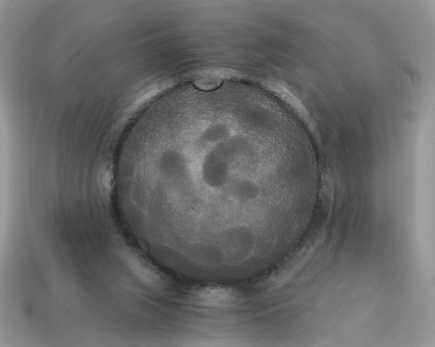 X0000114590063200911091305