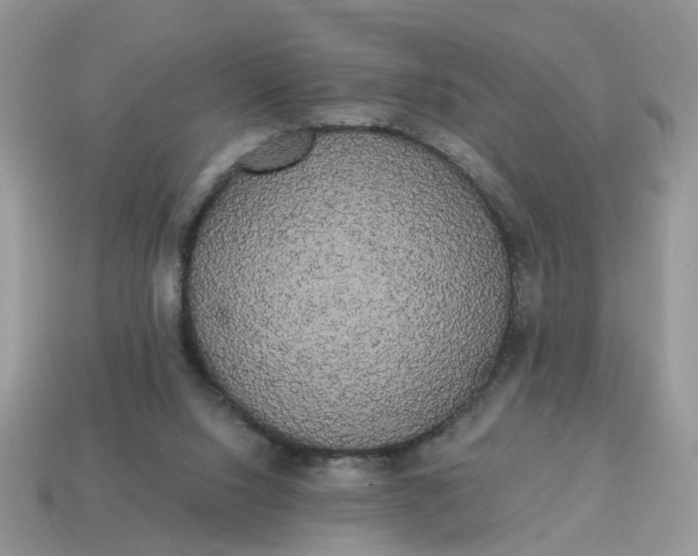 X0000114590064200911091305