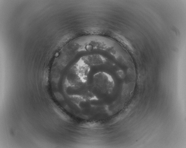 X0000114590065200911091305