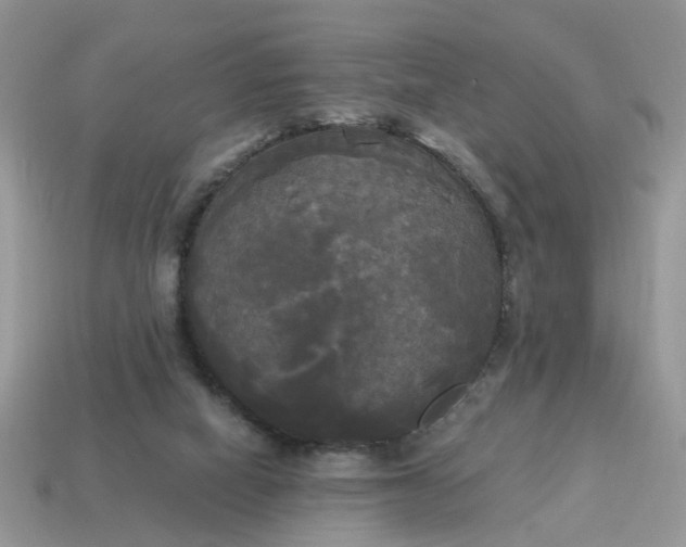 X0000114590066200911091305