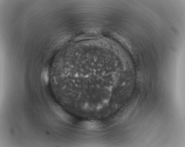 X0000114590069200911091305