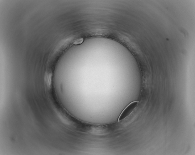 X0000114590070200911091305