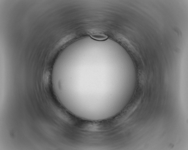 X0000114590071200911091305