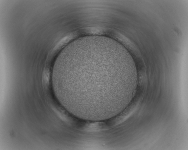 X0000114590072200911091305