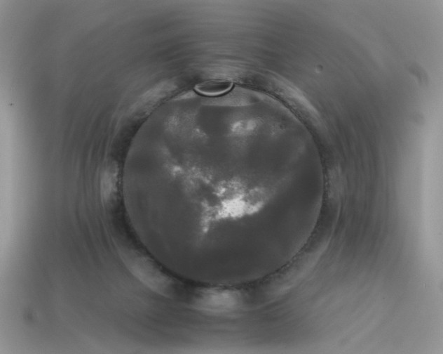 X0000114590073200911091305