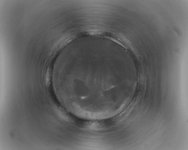 X0000114590074200911091305