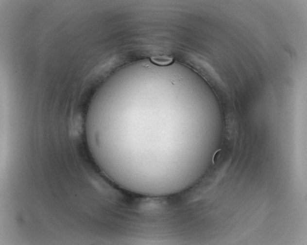 X0000114590077200911091305