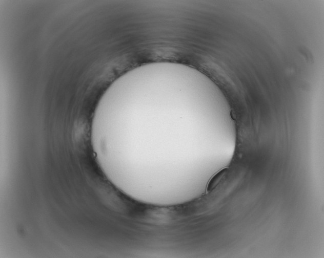 X0000114590079200911091305