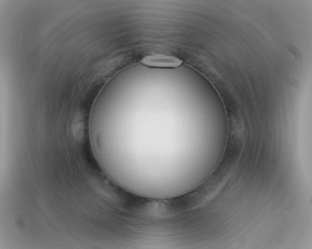 X0000114590080200911091305