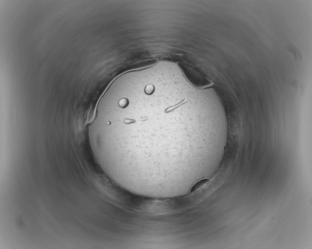 X0000114590082200911091305