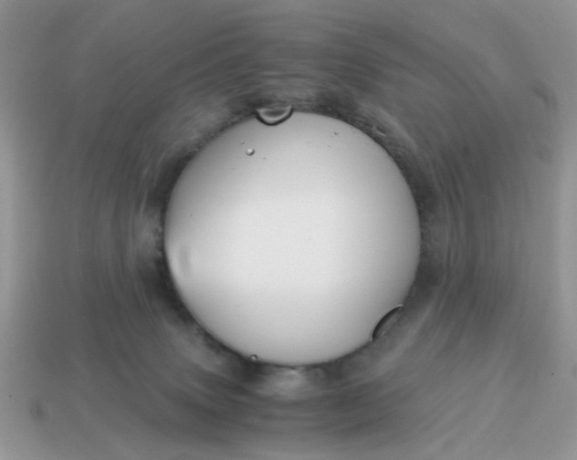 X0000114590083200911091305