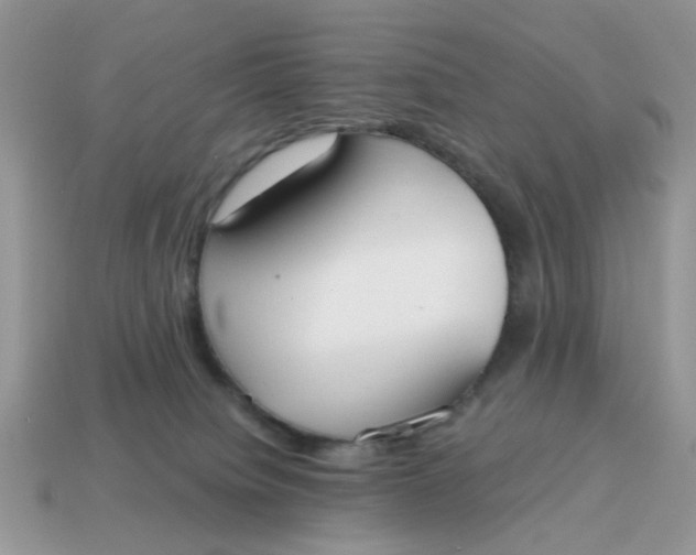 X0000114590084200911091305