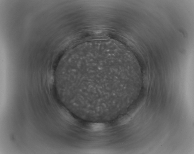 X0000114590085200911091305