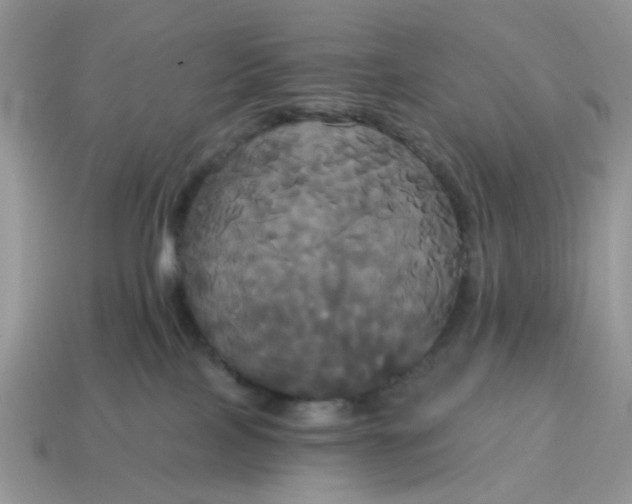 X0000114590089200911091305