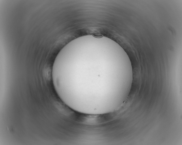 X0000114590090200911091305