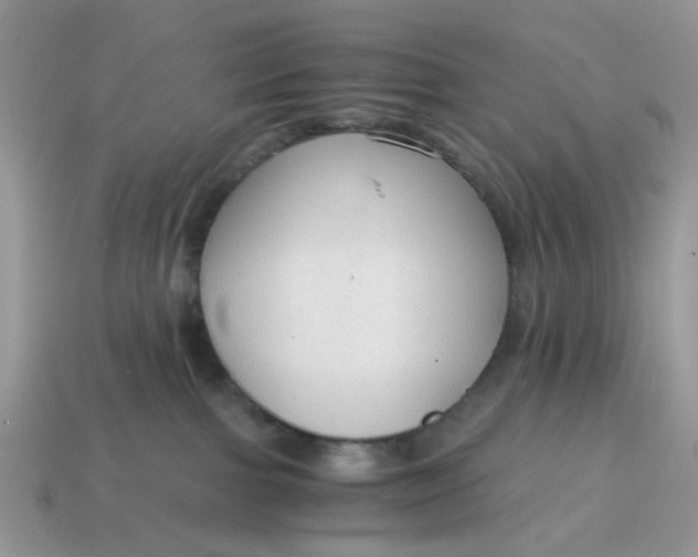 X0000114590091200911091305