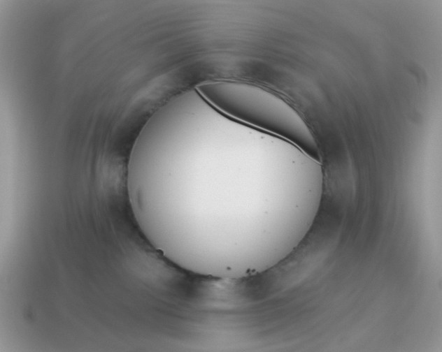 X0000114590092200911091305