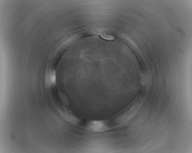 X0000114590095200911091305