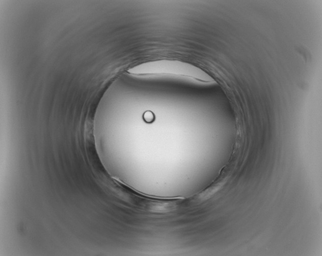 X0000114590096200911091305