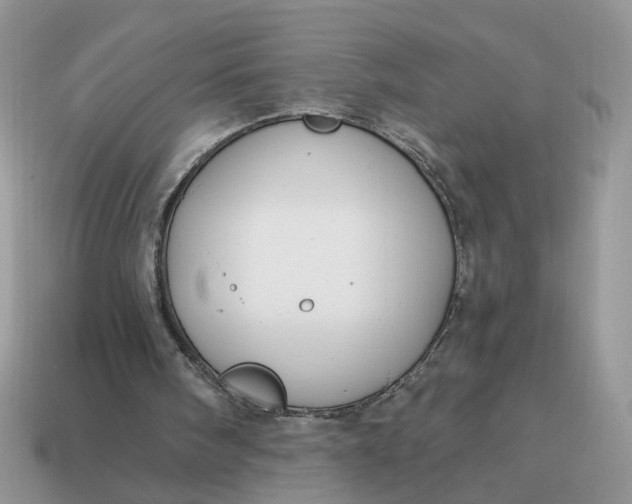 X0000114590098200911091305