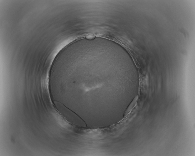 X0000114590100200911091305