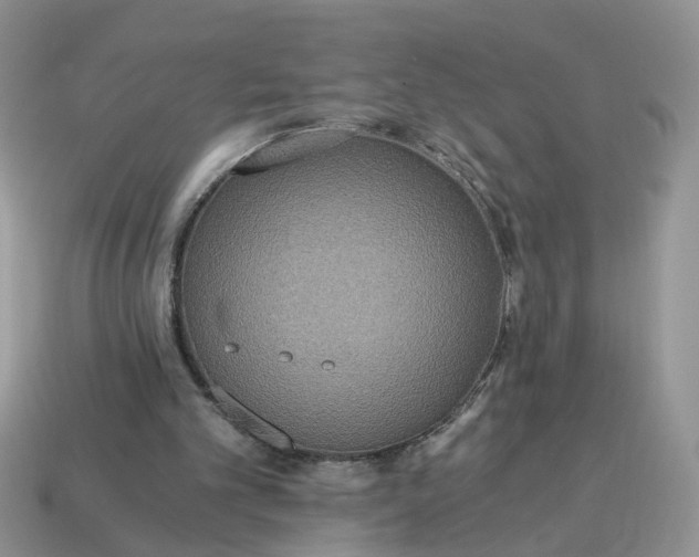 X0000114590101200911091304