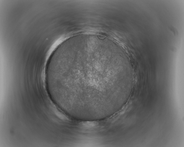 X0000114590102200911091304