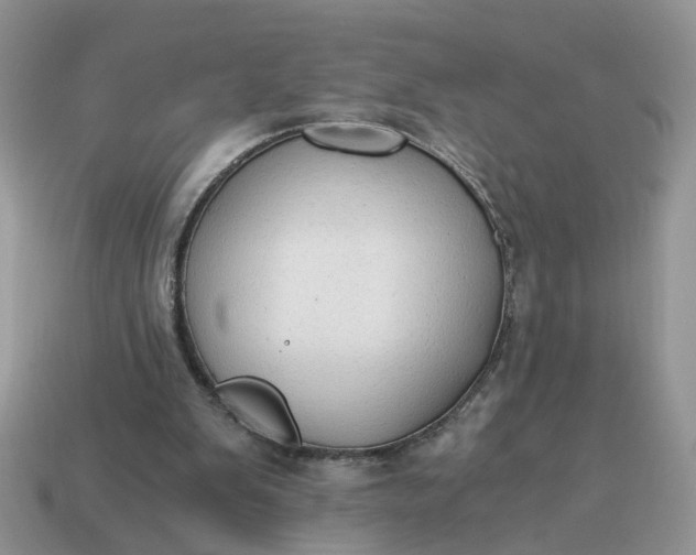 X0000114590103200911091304