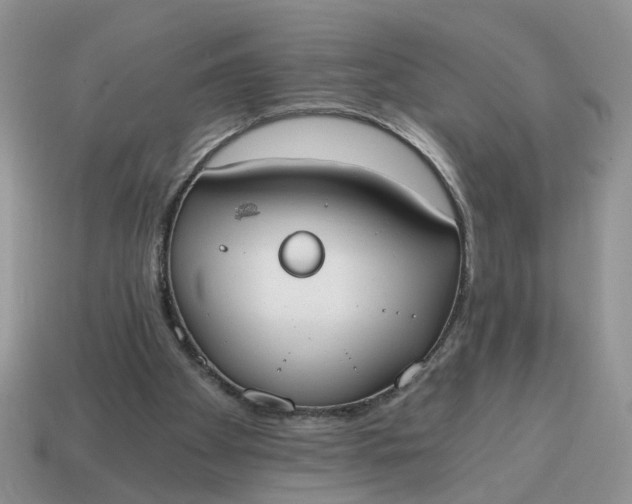 X0000114590105200911091304