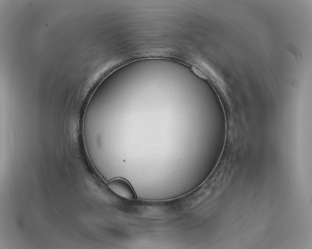 X0000114590107200911091304