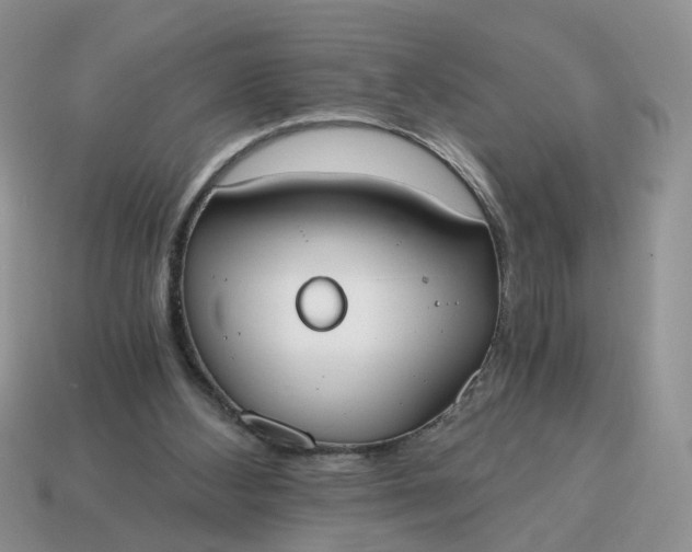 X0000114590108200911091304