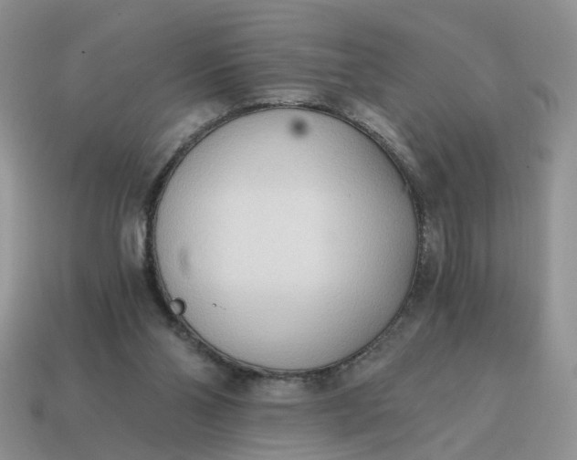 X0000114590110200911091304