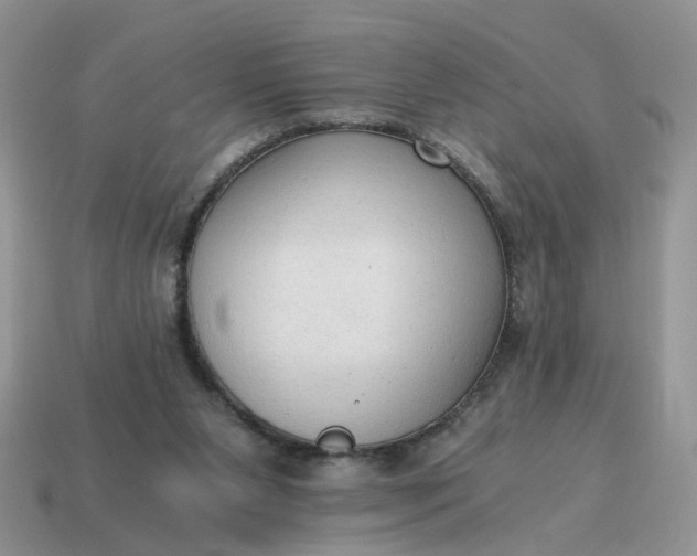 X0000114590111200911091304