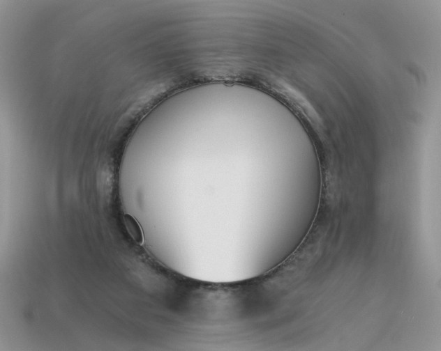 X0000114590113200911091304