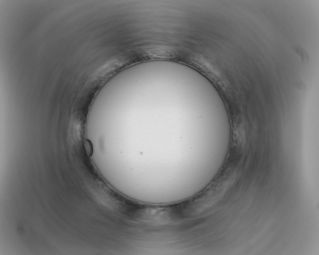 X0000114590117200911091304