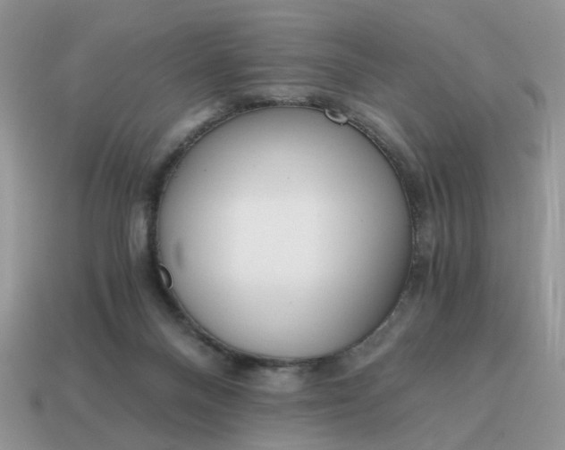 X0000114590120200911091304