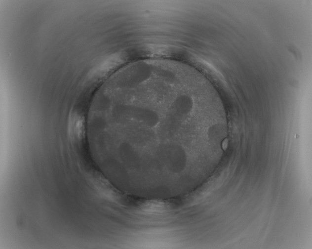 X0000114590123200911091304