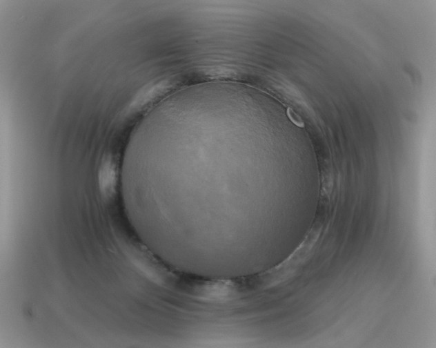 X0000114590124200911091304