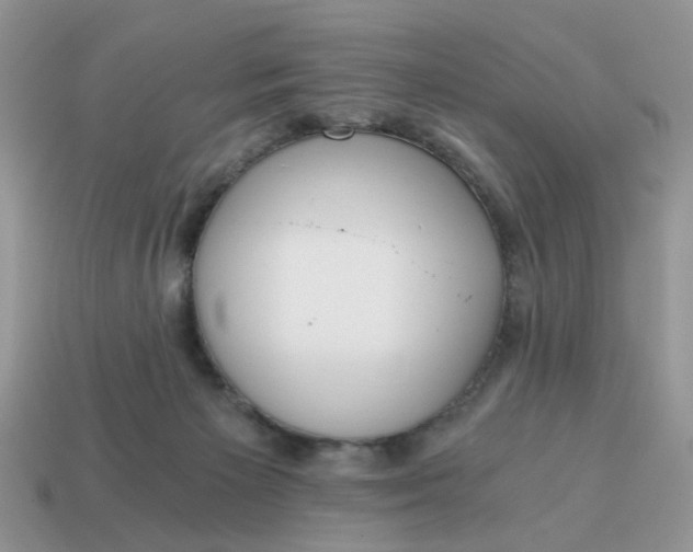 X0000114590125200911091304